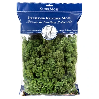 12 Pack: SuperMoss® Preserved Basil Reindeer Moss