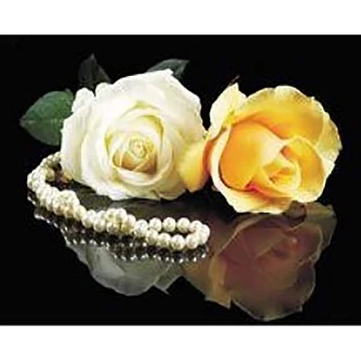 Sparkly Selections Roses on Glass Diamond Art Kit, Round Diamonds