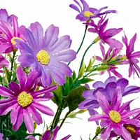 Purple Mini Daisy Bush by Ashland®