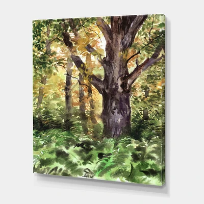 Designart - Large Tree In Autumn Forest