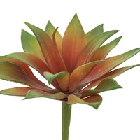 Burgundy Green Succulent Pick by Ashland®