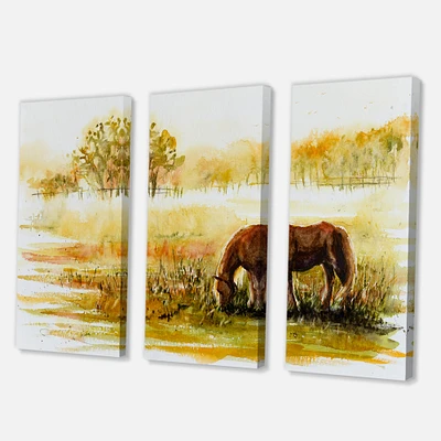 Designart - Horse Grazing On A Meadow