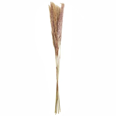 Mini Natural Brown Pampas Bunch by Ashland®