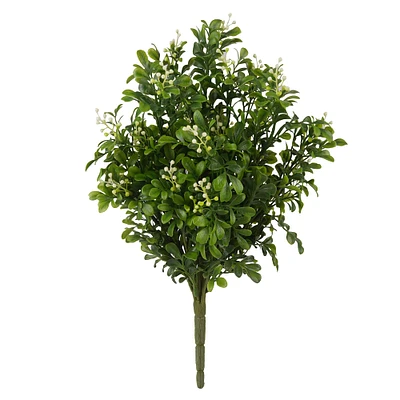 9 Pack: Boxwood & Berry Bush by Ashland®