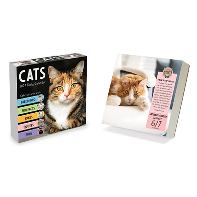 TF Publishing 2024 Cat A Day Daily Desktop Calendar