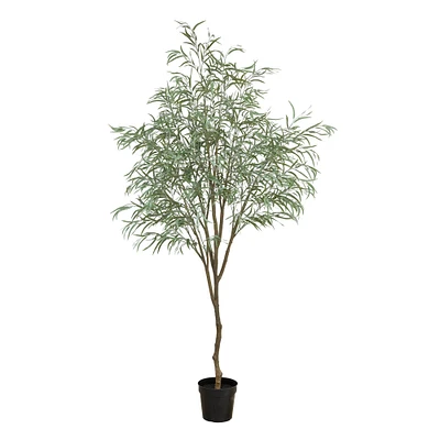 9ft. Willow Eucalyptus Tree by Ashland®