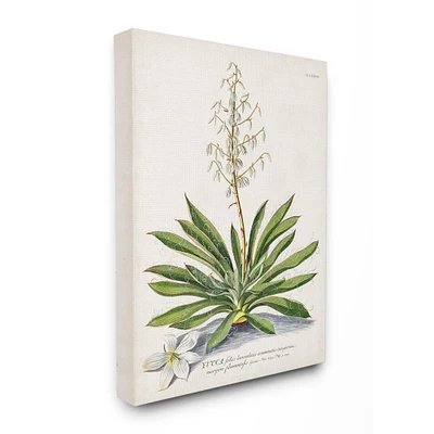 Stupell Industries Botanical Fern Illustration Wall Art