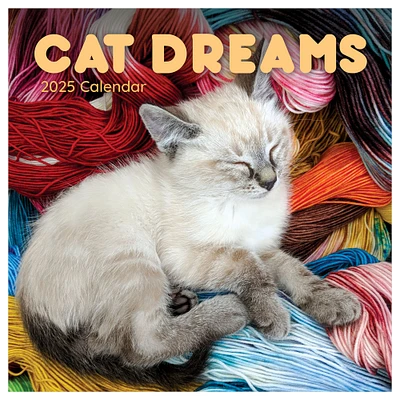 TF Publishing 2025 Cat Dreams Wall Calendar