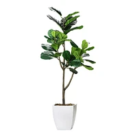 American Art Decor 4ft. Fiddle Fig Tree in White Ceramic Pot