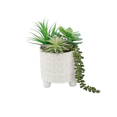 Flora Bunda® 10.5" Mixed Succulent Arrangement in Footed Ivory Cathedral Container