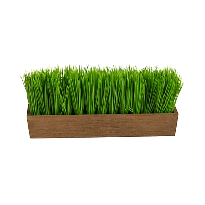 5" Grass Plant in Decorative Planter