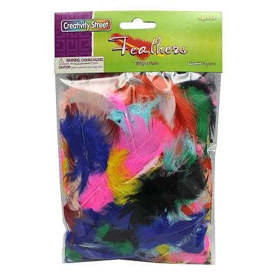 4 Packs: 12 ct. (48 total) Creativity Street® Bright Turkey Plumage Feathers, 14g