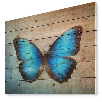 Designart - Blue Vintage Butterfly - Floral Art Print on Natural Pine Wood