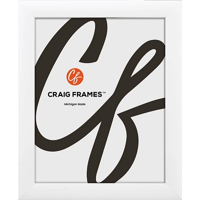 Craig Frames Contemporary White Satin Picture Frame