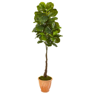 5.5ft. Real Touch™ Fiddle Leaf Tree in Terracotta Planter