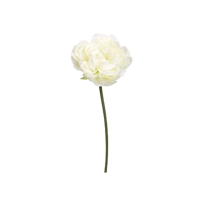 24 Pack: White Peony Stem