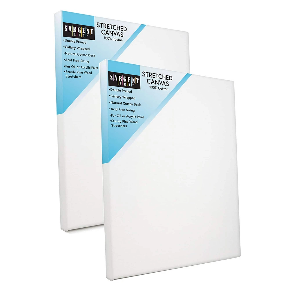 Sargent Art® 2 Pack 16" x 20" Double Primed Cotton Stretched Canvas