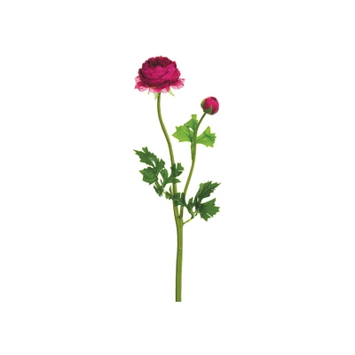 Boysenberry Ranunculus Spray