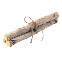 Birch Log Bundle by Ashland®