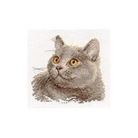 Alisa British Cat Cross Stitch Kit