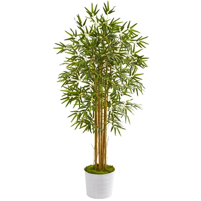 5ft. Bamboo Tree in White Tin Planter