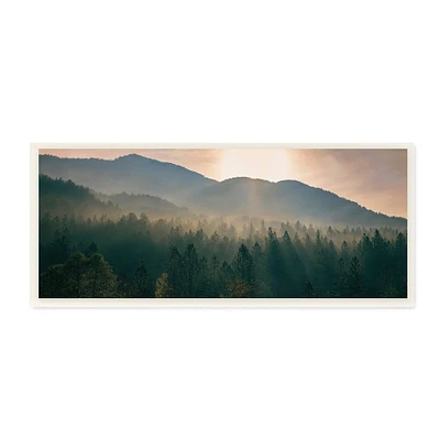 Stupell Industries Morning Sun over Misty Tree Forest Landscape,7" x 17"