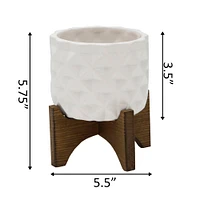 Flora Bunda 5" Matte White Ceramic Dimple Pattern Planter On Wood Stand