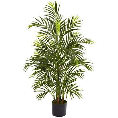 3.5ft. Potted Areca Palm