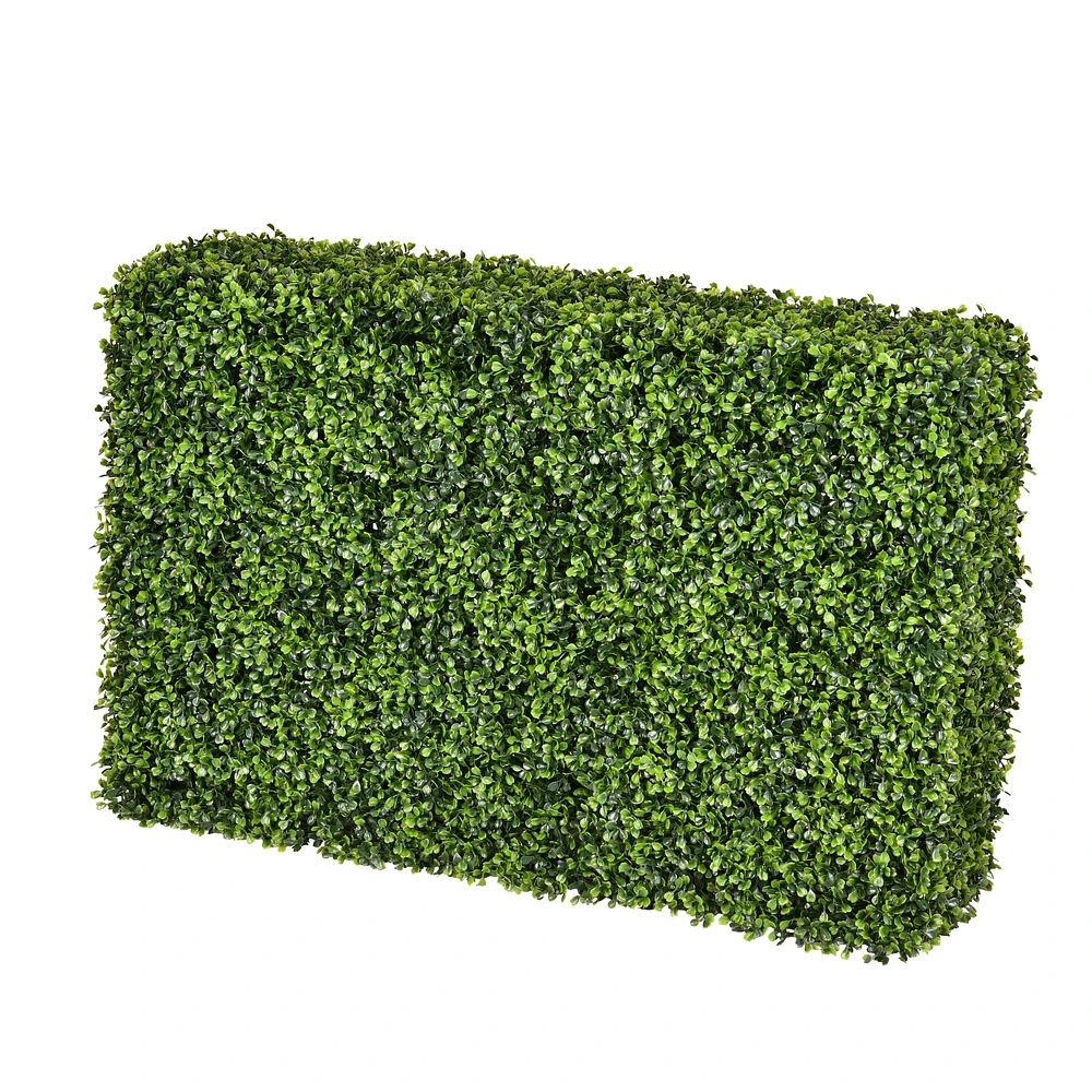 2ft. Boxwood Hedge