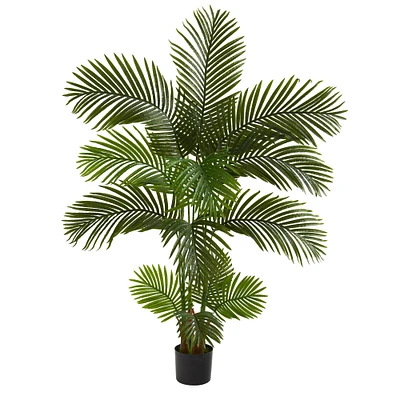 5ft. Potted Areca Palm Tree