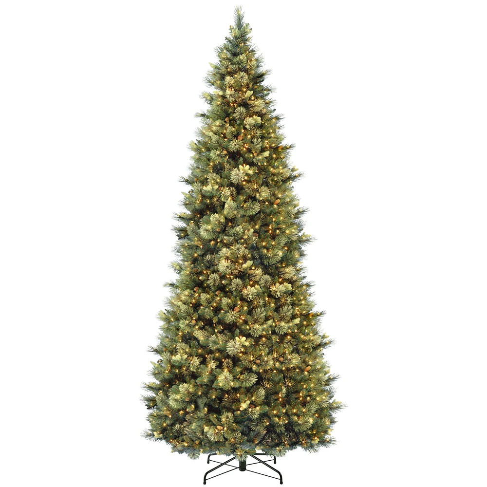 12ft. Pre-Lit Carolina Pine Artificial Christmas Tree, Clear Lights