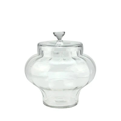 11" Transparent Segmented Glass Container with Lid