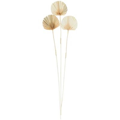 Brown Dried Palm Foliage Bundle