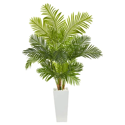 5.5ft. Hawaii Palm Tree in Tall White Planter