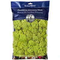 12 Pack: SuperMoss® Preserved Chartreuse Reindeer Moss