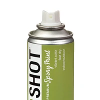 COLORSHOT® Premium Satin Spray Paint