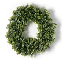 22" Boxwood Wreath by Ashland®