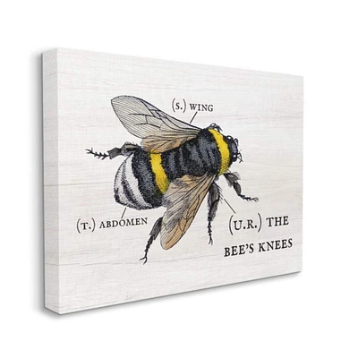 Stupell Industries Anatomy of Honey Bee Pun Canvas Wall Art