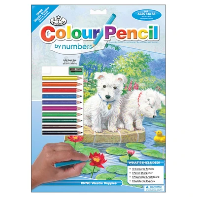 Royal & Langnickel® Westie Puppies Colour Pencil™ by Number Kit