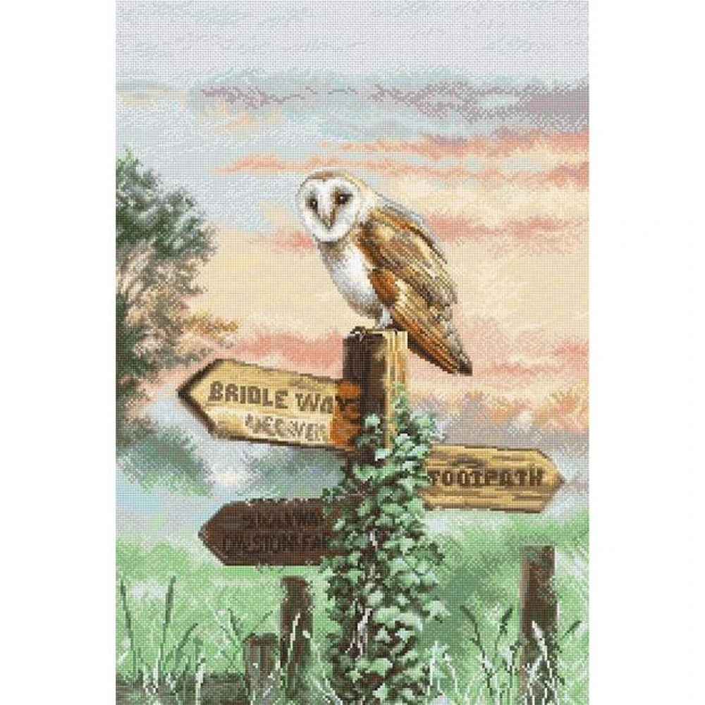 Letistitch Barn Owl Counted Cross Stitch Kit