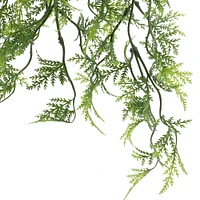 Green Hanging Fern Bush by Ashland®