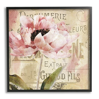 Stupell Industries Vintage Pink Peony Floral Parisian Advertisement Pattern Framed Wall Art