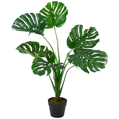 2.9ft. Potted Wide Leaf Monstera Floor Plant