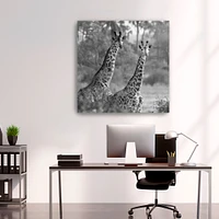A Pair Of Giraffes Canvas Giclee