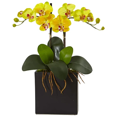 18.5" Double Mini Phalaenopsis Silk Orchid in Black Vase