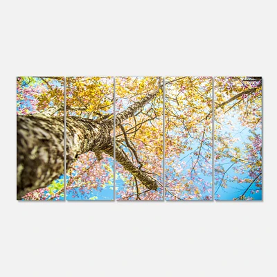 Designart - Under Branch of Yellow Cherry Tree