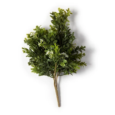 Boxwood & Berry Bush by Ashland®