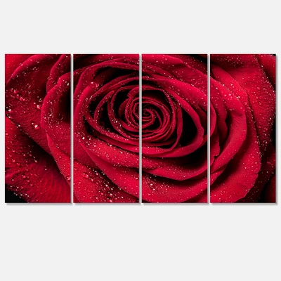 Designart - Red Rose Petals with Rain Droplets