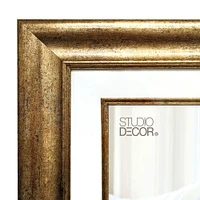 Champagne Frame, 20" x 24" With 16" x 20" Mat, Home Collection By Studio Décor®