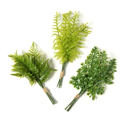 Assorted Green Fern Bundle by Ashland®